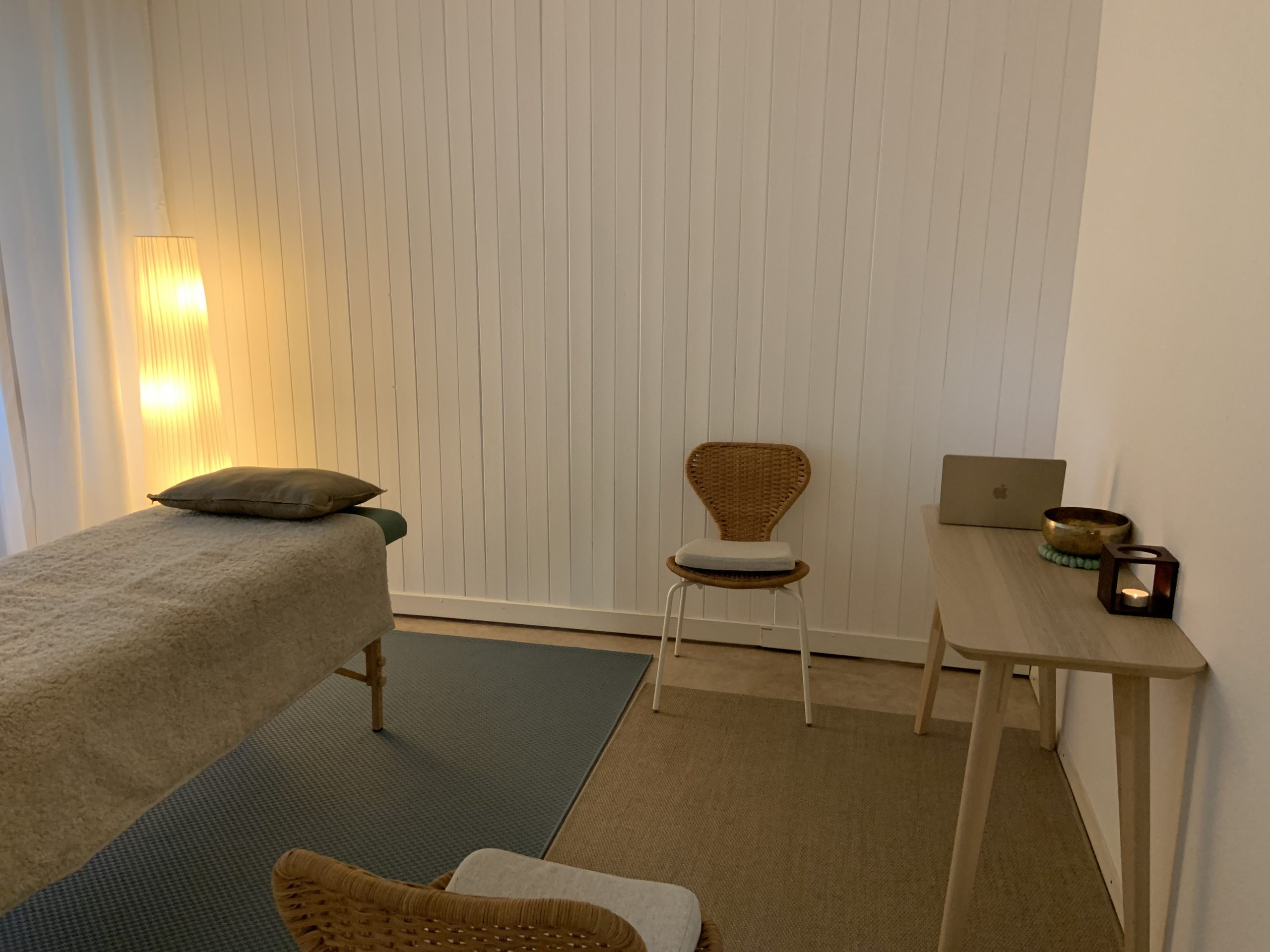 Thérapie Craniosacrale Biodynamique - Genève -Eaux-Vives - Cabinet Annette Kosak