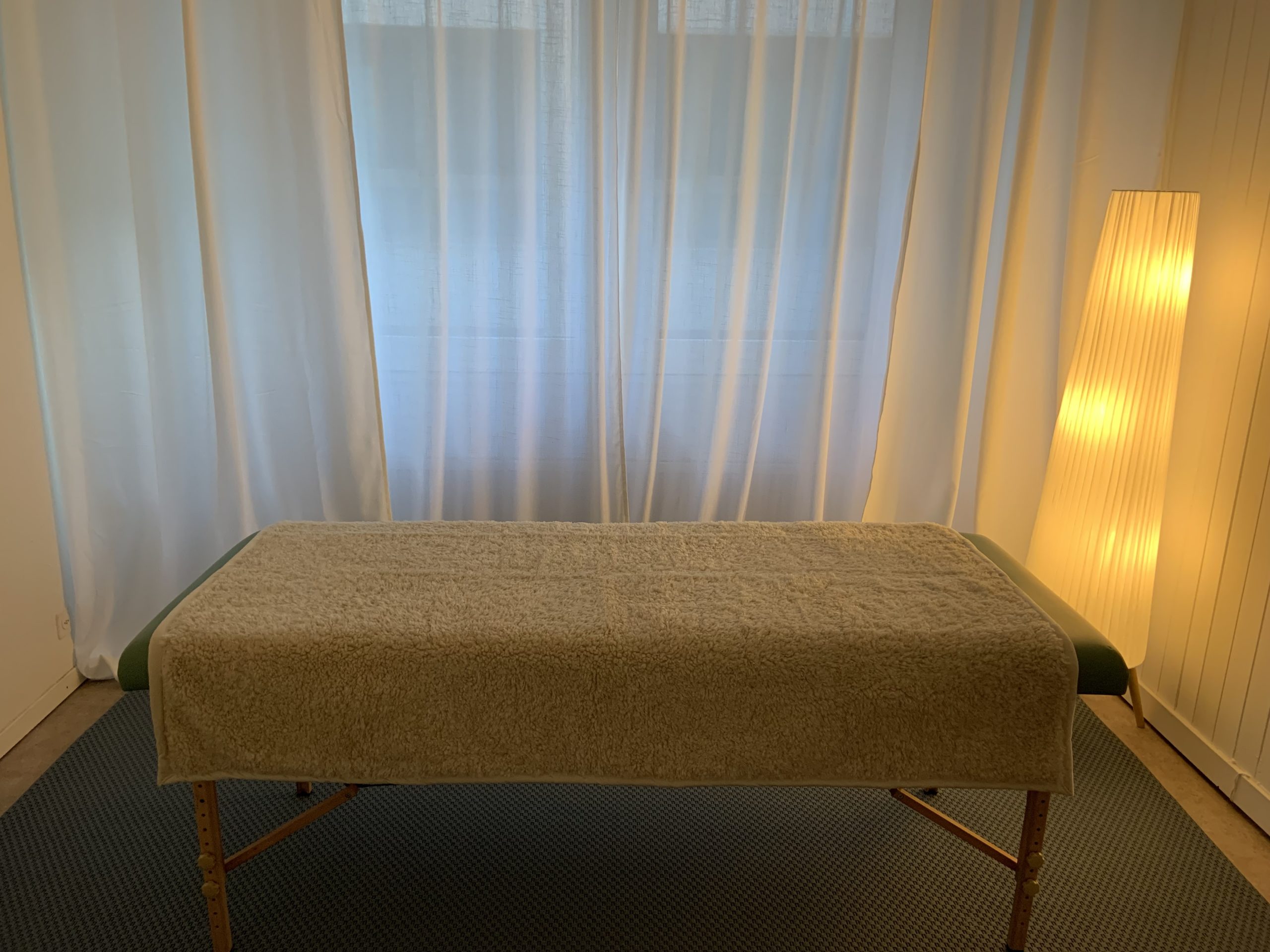 Thérapie Craniosacrale Biodynamique - Genève -Annette Kosak - Eaux-Vives